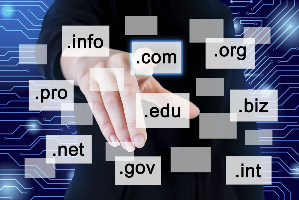 cara memilih nama domain