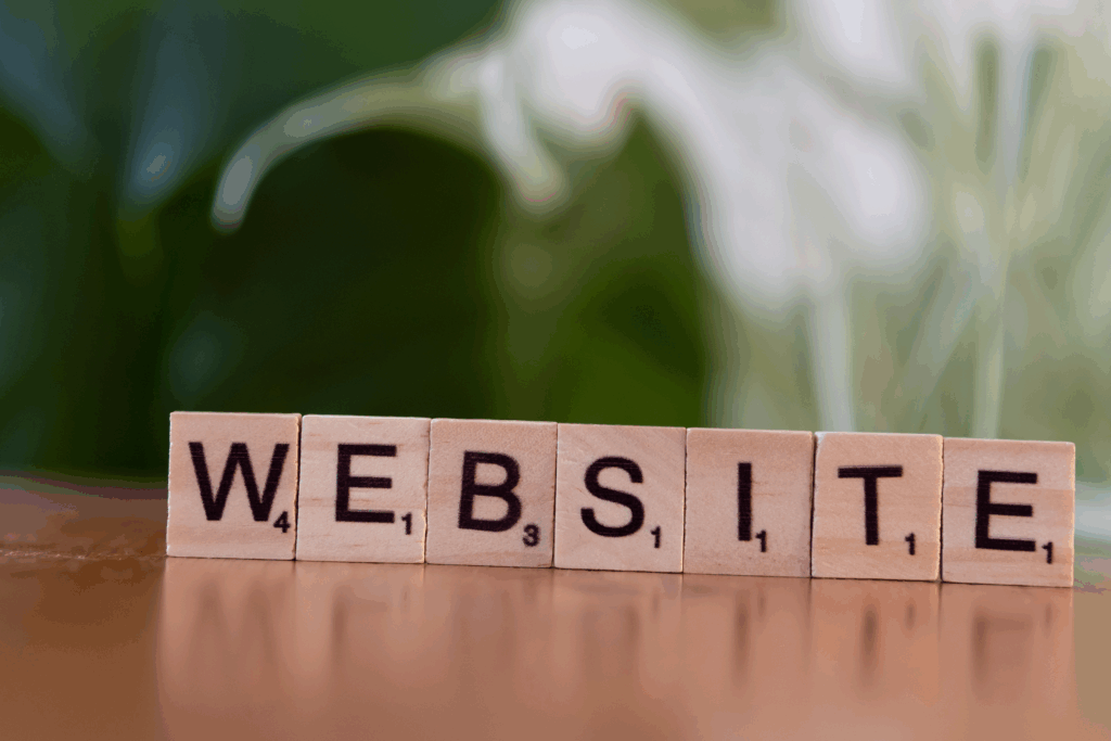 Jasa pembuat website umkm
